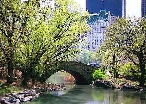 Apartment Murray Hill East Suites - Extended Stay New York